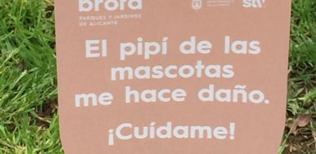 Una muestra de la campaña contra los orines de los perros en Alicante