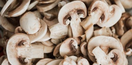 Láminas de champiñón fresco