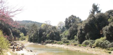 Primavera en el pantano de Vallvidrera.