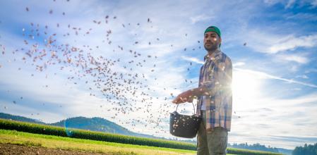 Adult man going through field and hand sowing seeds onto prepared loose soil. Against sun photo. Farming, agriculture, plant growing concept.