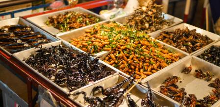 Surtido de insectos para consumir, en Tailandia