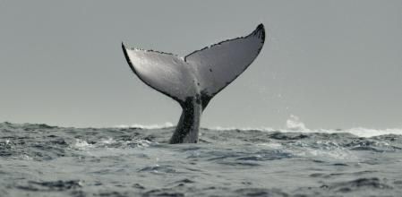 El equipo rodó durante tres años en 24 localizaciones diferentes