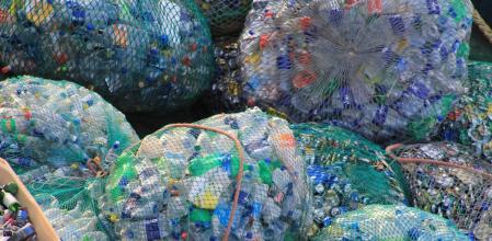 'Nidos modernos de tiranosaurios'&nbsp;