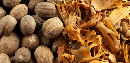 Nuez moscada y macis