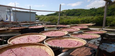 Pasta de gambas secándose al sol
