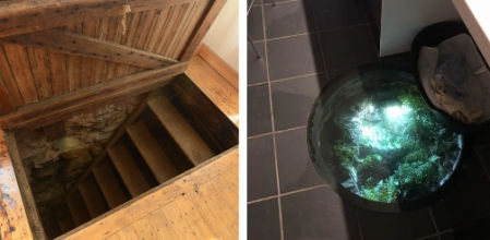 Algunos de los hallazgos tienen muy difícil explicación