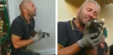 Matteo rescata a una cría de gato que estaba atrapada en un agujero