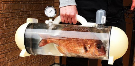 Esta pecera portátil permite llevar a los peces arriba y abajo