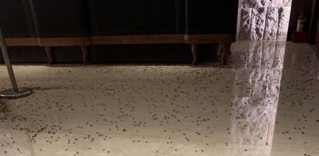 Fuentes policiales apuntan a que el dueño podría tener deudas de dinero con la banda