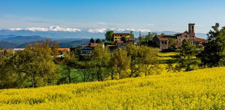 Sant Bartomeu del Grau.