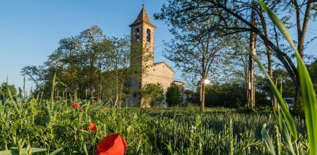 Panorámica, tras la vegetación, de Les Masies de Roda.