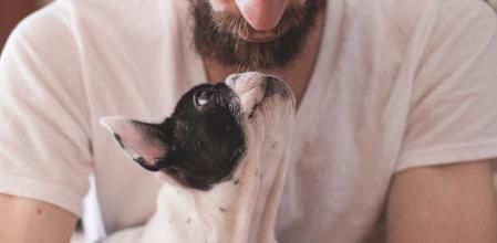 Si te diesen a elegir entre tu mascota y tu pareja, ¿a quién escogerías?