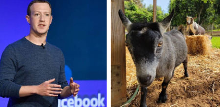 ¿Guiño de Mark Zuckerberg a Bitcoin? ¿O todo lo contrario?