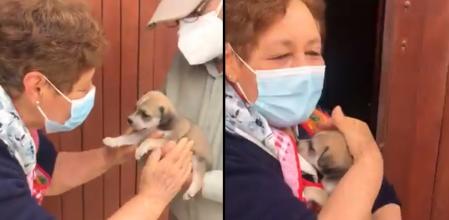 La mujer no puedo evitar emocionarse.