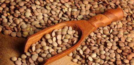 Lentejas