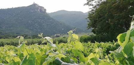 Castellví de la Marca.