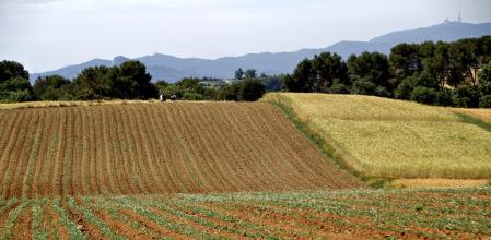 El espacio natural de Gallecs.
