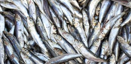 Comer alimentos de temporada es una de las claves de una alimentación saludable