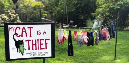 La dueña del gato ladrón tuvo que poner un cartel para 'confesar' ante sus vecinos.