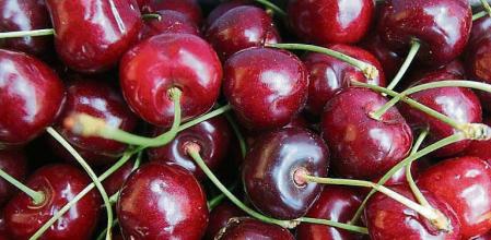 TERRADES 05/06/11 FIRA I MERCAT DE LA CIRERA DE TERRADES CEREZA CEREZAS PICOTA PICOTAS CERERES FRUTA AGRICULTURA ( AGUSTI ENSESA - LV )