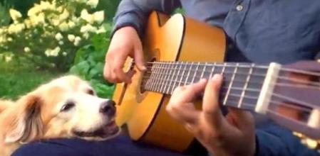 La emotiva despedida de un músico a su perrita fallecida: “Me duele el corazón”
