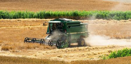 Avanzando en la siega.