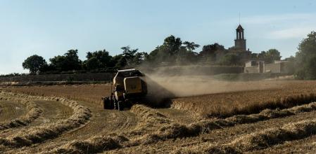 La tradición de la siega en el Poquí.