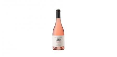 Scala Dei Pla dels Àngels Rosat