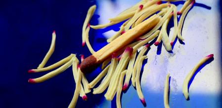 Cerillas o estambres.