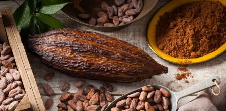 Semilla de cacao