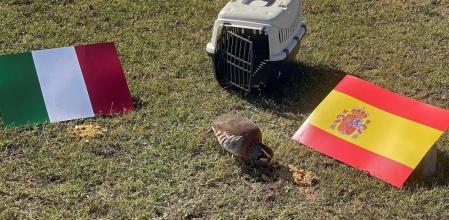 La perdiz Tako pronostica el pase de España a la final para el partido Italia-España