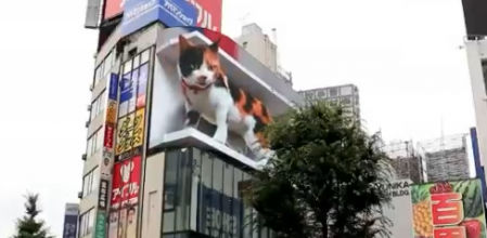 Un gato gigante está asustando a los transeúntes del centro de Tokio