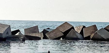 Submarinistas limpiando el fondo marino del Fòrum.