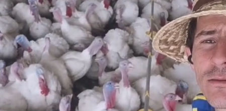 Juan María Rodríguez, el joven ganadero español famoso por hablar con pavos