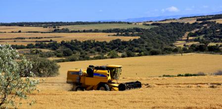 Una cosechadora trabajando el campo.