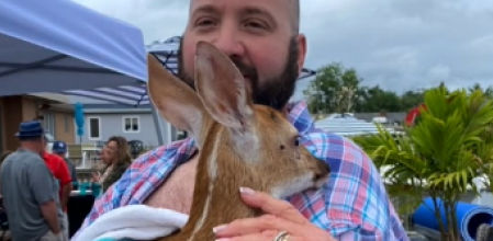 Aplausos al empeño de este hombre por rescatar a un cervatillo de ahogarse en un río