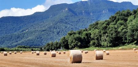 Paisaje de verano en la Vall d'en Bas.
