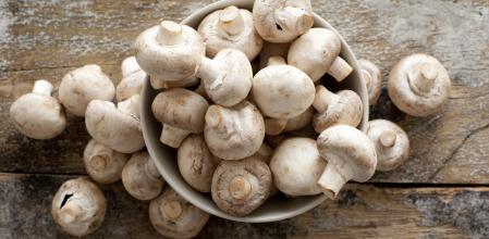 Recipiente con champiñones