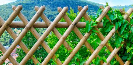 Celosías y vallas para el jardín.