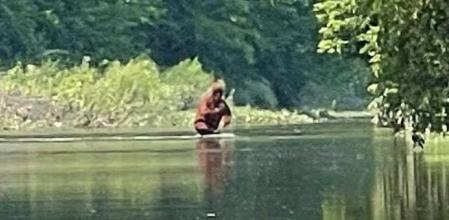 Un hombre asegura haber grabado un Bigfoot en Michigan provocando todo tipo de teorías