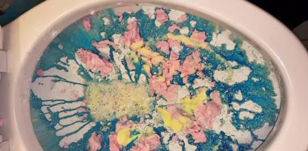 Arrasa en TikTok con sus peculiares vídeos limpiando el inodoro de una forma artística