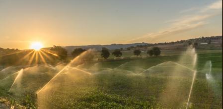 El riego artificial ayuda en las épocas de sequia