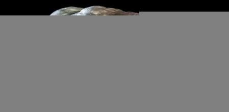 LV_Llevas toda la vida tomando la cerveza a la temperatura equivocada