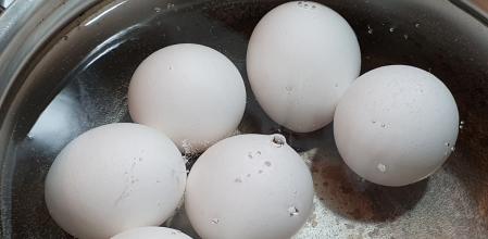 Preparación de huevos cocidos
