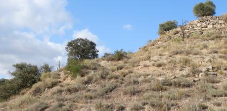 Naturaleza de la localidad de Altet, en Lleida.