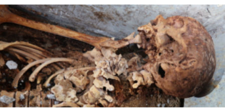 Gran hallazgo de los investigadores de la Universidad de Valencia