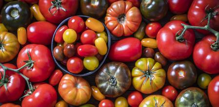 El tomate es una buena fuente de licopeno 