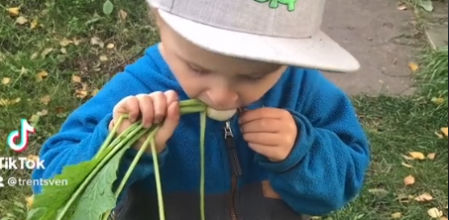 Este niño se convierte en una sensación viral por su amor por las verduras