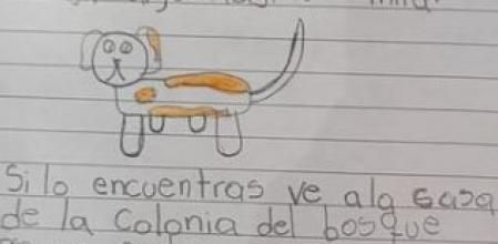 El cartel que la pequeña hizo para encontrar a su perrito
