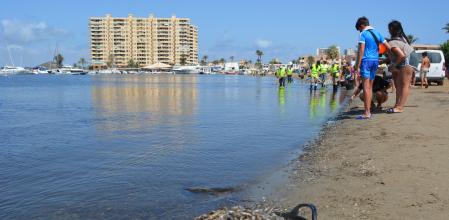 Orilla del Mar Menor